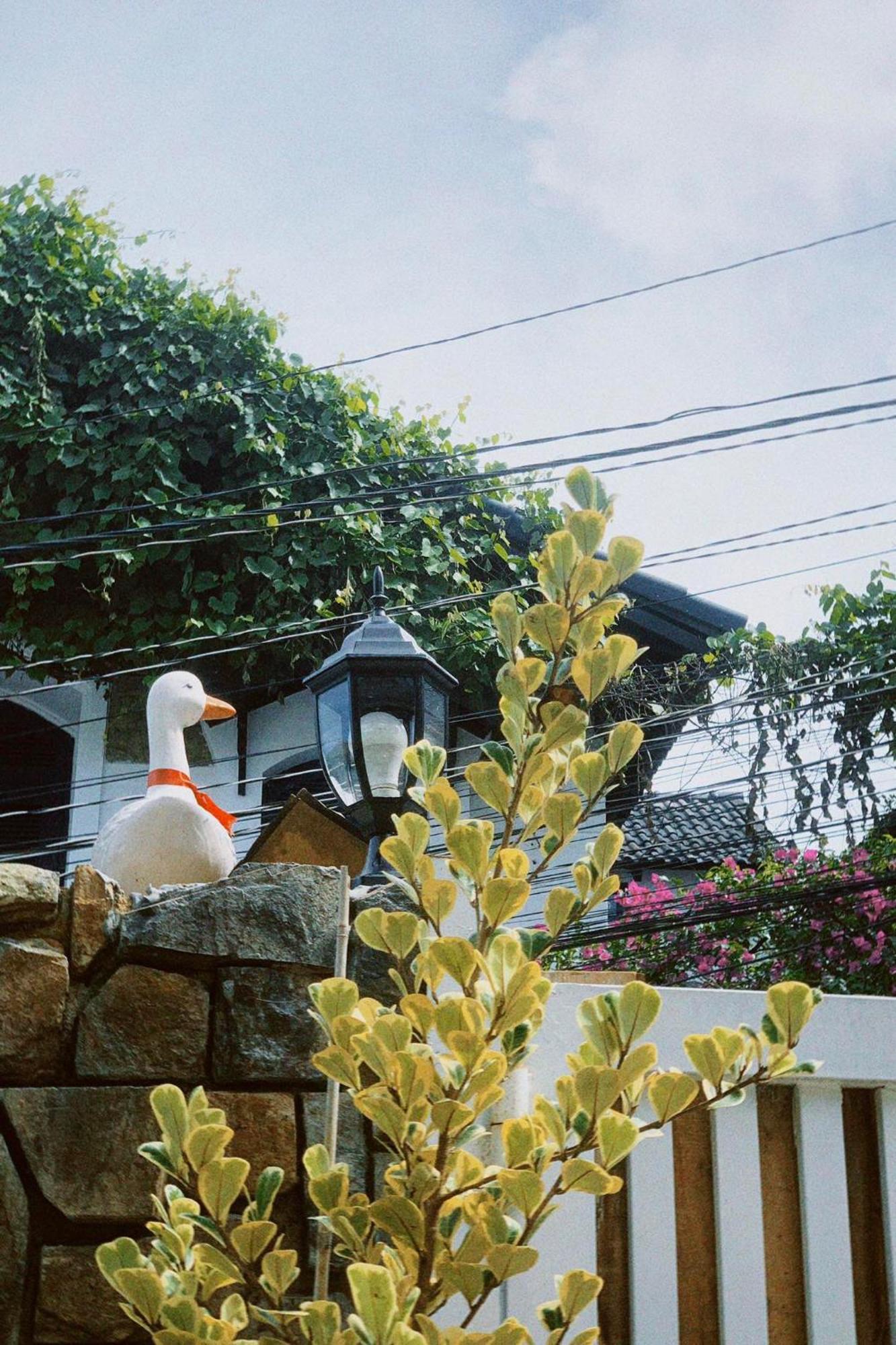 Chai Nho Homestay Dalat Exteriér fotografie